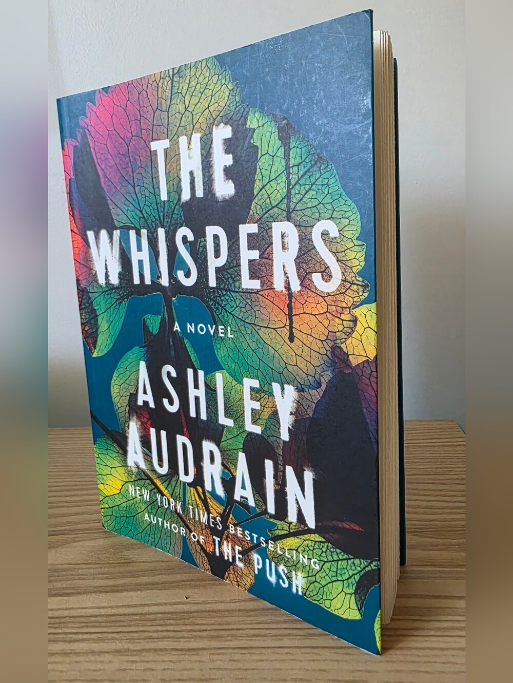 2 For $16 Books - The Whispers by Ashley Audrain - Multicolor Hardcover Novel
